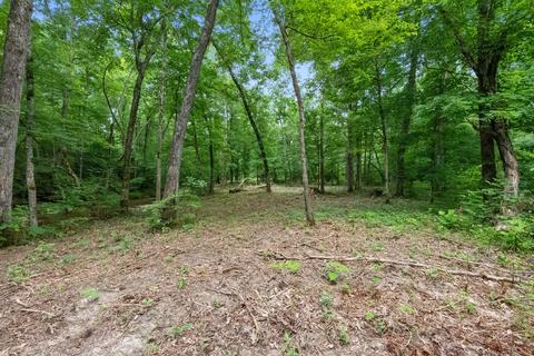 7327 Highway 76 E, Springfield, TN 37172 photo 18