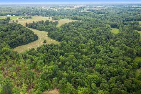 7327 Highway 76 E, Springfield, TN 37172 photo 8