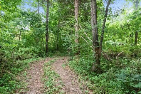 7327 Highway 76 E, Springfield, TN 37172 photo 19
