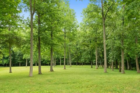 7327 Highway 76 E, Springfield, TN 37172 photo 24