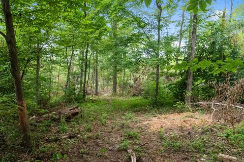 7327 Highway 76 E, Springfield, TN 37172 photo 17