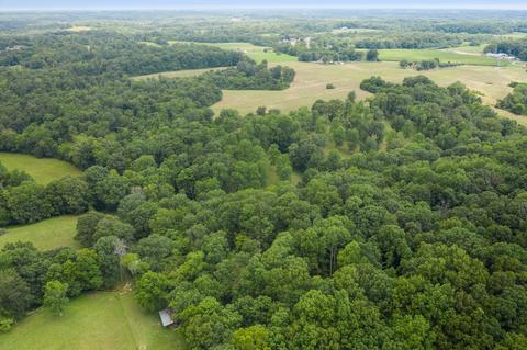 7327 Highway 76 E, Springfield, TN 37172 photo 7