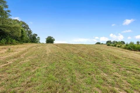 7327 Highway 76 E, Springfield, TN 37172 photo 22