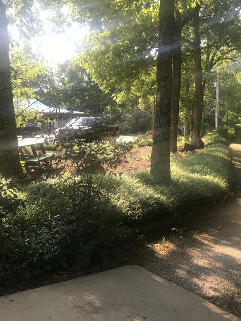 2221 Grays Bend Rd, Centerville, TN 37033 photo 3