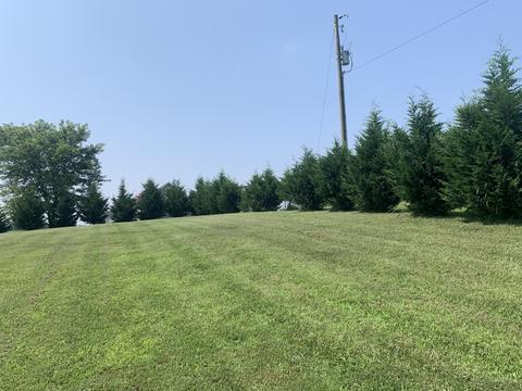 1007 Robert Elder Ct, Cedar Hill, TN 37032 photo 23
