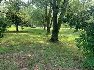 575 Templow Rd, Bethpage, TN 37022 photo 3