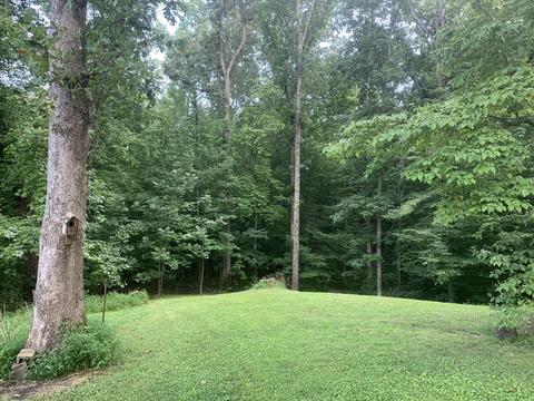55 Old Rd, Counce, TN 38326 photo 28