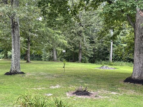 2013 Highway 100, Centerville, TN 37033 photo 7