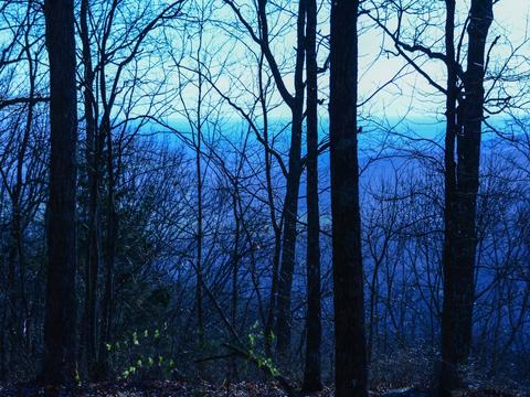 235 Carruthers Rd, Sewanee, TN 37375 photo 34