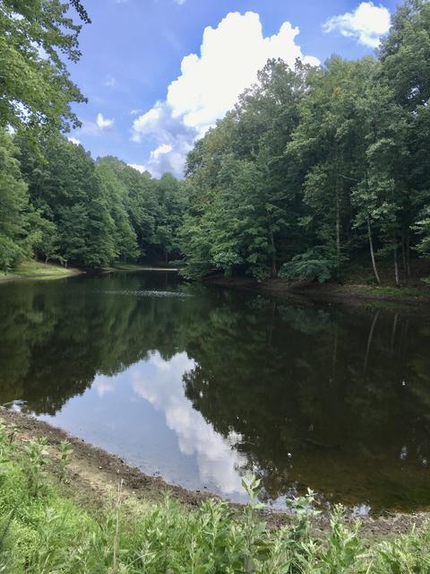235 Carruthers Rd, Sewanee, TN 37375 photo 36