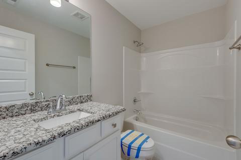 421 Killarney Pl, Fairview, TN 37062 photo 20