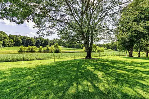360 Second Creek Rd, Five Points, TN 38457 photo 23