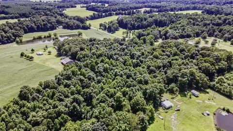 360 Second Creek Rd, Five Points, TN 38457 photo 29