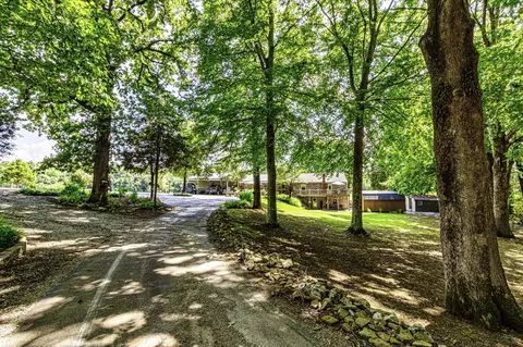 360 Second Creek Rd, Five Points, TN 38457 photo 22