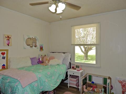 5447 Marion Rd, Cunningham, TN 37052 photo 21