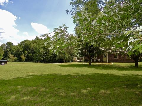 5447 Marion Rd, Cunningham, TN 37052 photo 7
