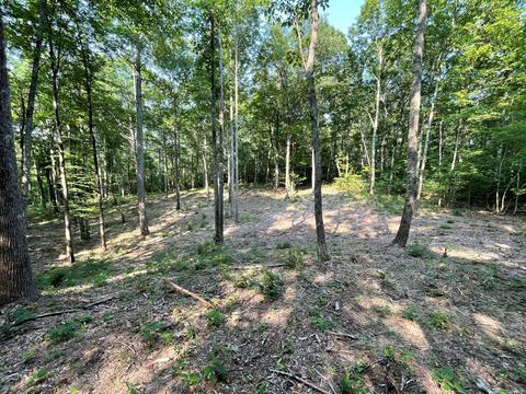 47 Fireside Ct, Monteagle, TN 37356 photo 3