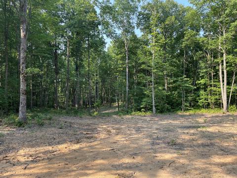 47 Fireside Ct, Monteagle, TN 37356 photo 2
