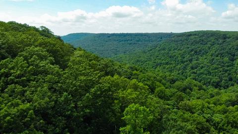47 Fireside Ct, Monteagle, TN 37356 photo 4