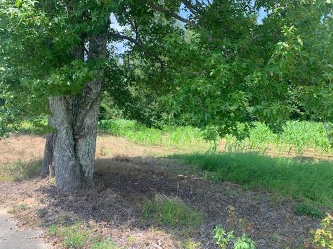 450 Duncan Rd, Centerville, TN 37033 photo 5