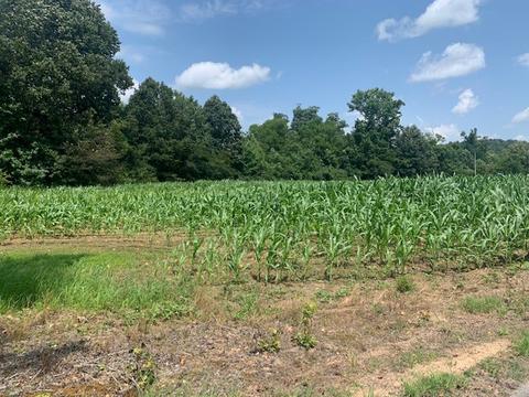 450 Duncan Rd, Centerville, TN 37033 photo 4