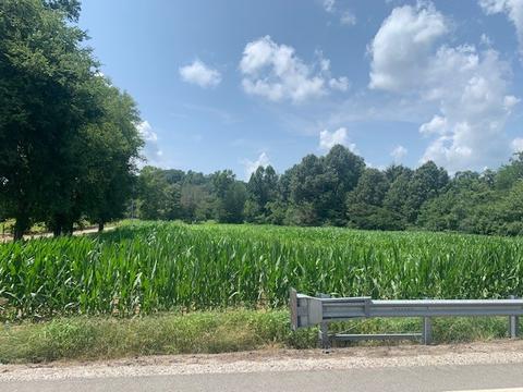 450 Duncan Rd, Centerville, TN 37033 photo 2