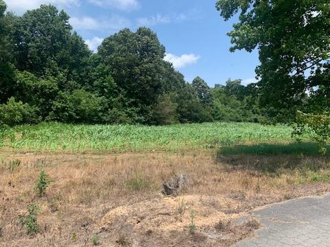 450 Duncan Rd, Centerville, TN 37033 photo 8