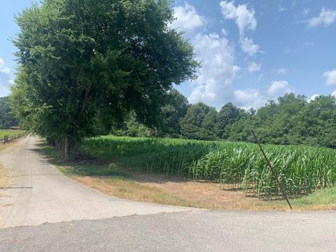 450 Duncan Rd, Centerville, TN 37033 photo 1