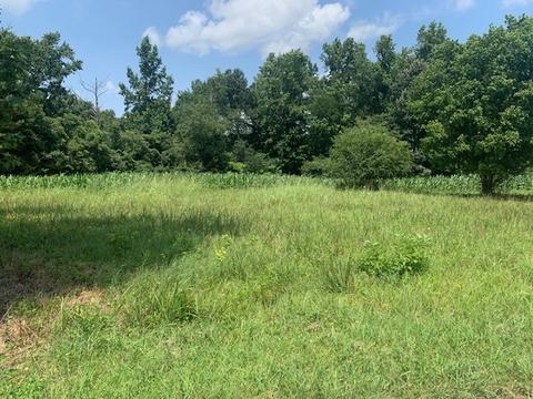 450 Duncan Rd, Centerville, TN 37033 photo 10