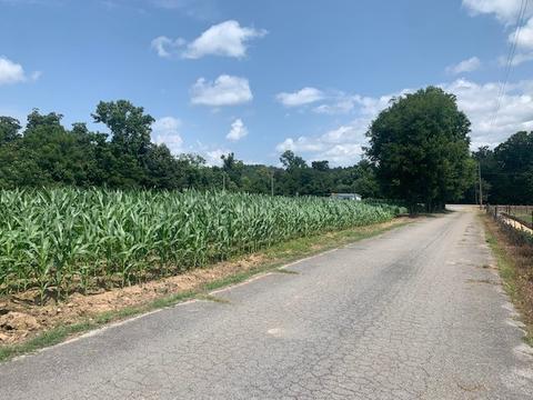 450 Duncan Rd, Centerville, TN 37033 photo 3