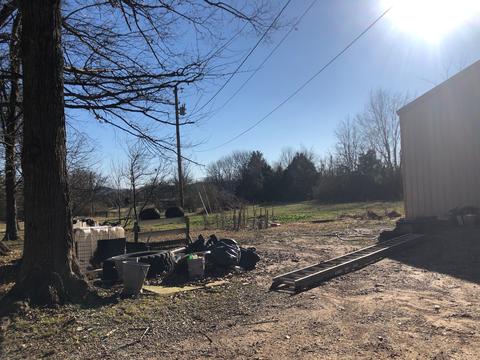4064 Trinity Rd, Franklin, TN 37067 photo 28