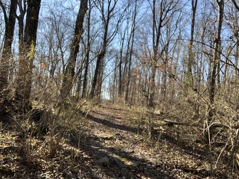 4064 Trinity Rd, Franklin, TN 37067 photo 14