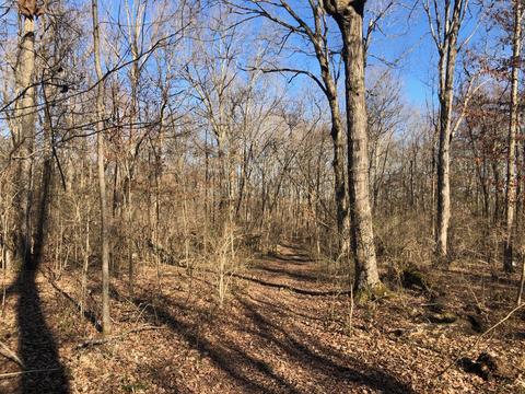 4064 Trinity Rd, Franklin, TN 37067 photo 13
