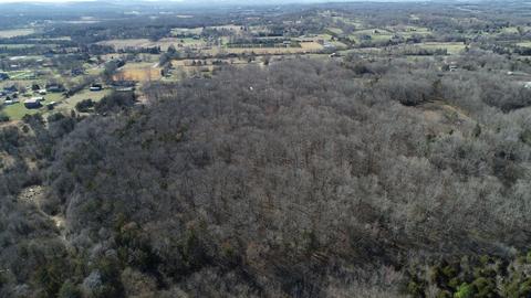 4064 Trinity Rd, Franklin, TN 37067 photo 34