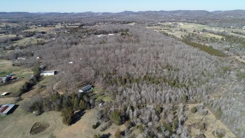 4064 Trinity Rd, Franklin, TN 37067 photo 4