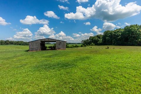 6159 H B Lee Rd, Springfield, TN 37172 photo 25