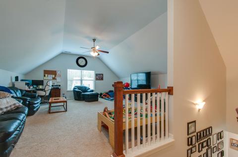 1015 Brayden Dr, Fairview, TN 37062 photo 23