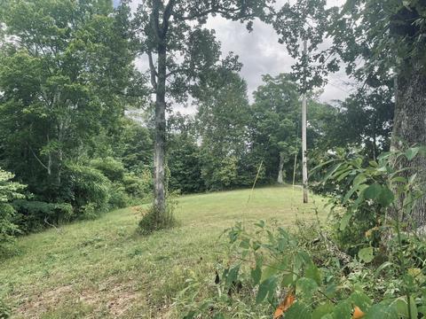 364 E Pin Hook Rd, Sparta, TN 38583 photo 6