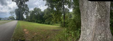 364 E Pin Hook Rd, Sparta, TN 38583 photo 3