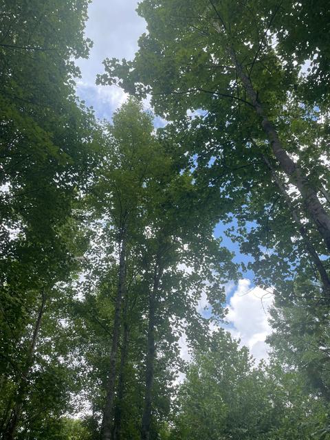 364 E Pin Hook Rd, Sparta, TN 38583 photo 10