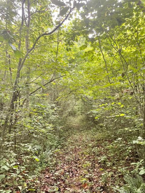 364 E Pin Hook Rd, Sparta, TN 38583 photo 8
