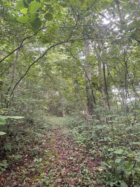 364 E Pin Hook Rd, Sparta, TN 38583 photo 12