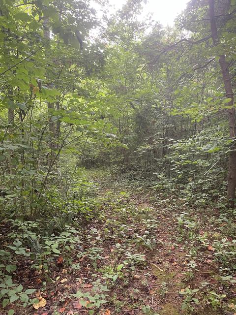 364 E Pin Hook Rd, Sparta, TN 38583 photo 7