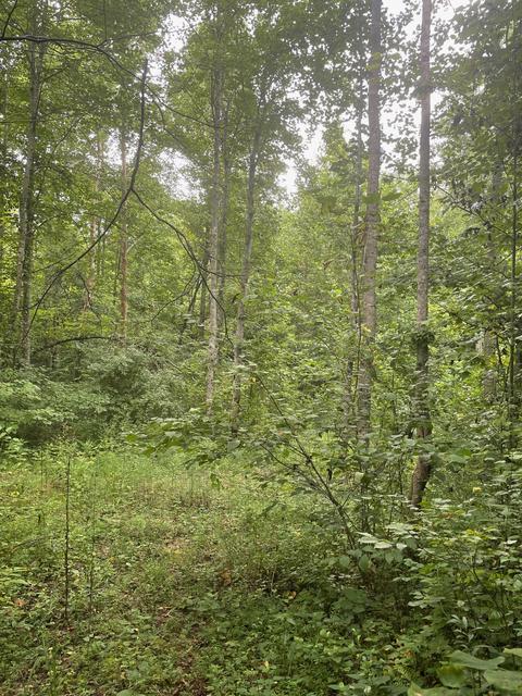 364 E Pin Hook Rd, Sparta, TN 38583 photo 9