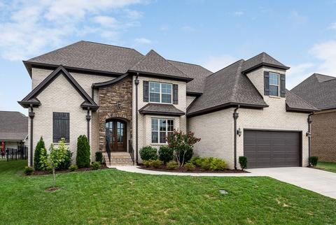 1007 Alpaca Dr, Spring Hill, TN 37174 photo 1