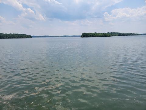 815 Coronation Dr, Antioch, TN 37013 photo 11