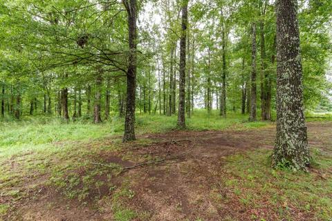 352 Thacker Rd, Manchester, TN 37355 photo 40