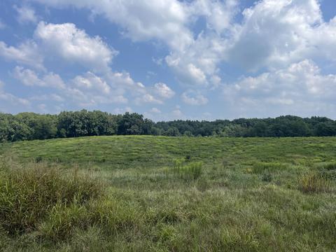 1156 Eagles Nest Rd, Baxter, TN 38544 photo 3
