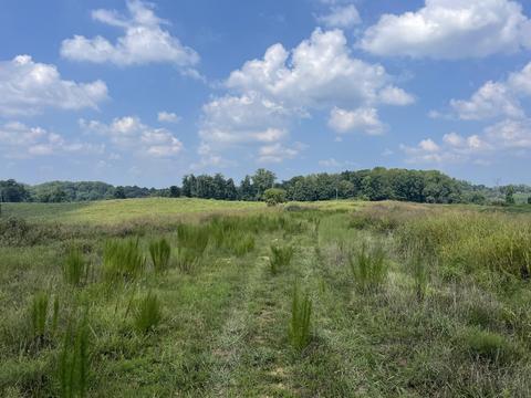 1156 Eagles Nest Rd, Baxter, TN 38544 photo 1