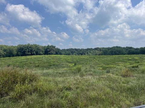 1156 Eagles Nest Rd, Baxter, TN 38544 photo 2
